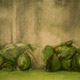 painting of a concrete retaing wall with blackberries